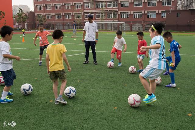 王艺迪4-0晋级半决赛，国乒女单或将包揽四强